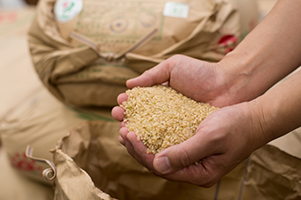 有機農法で育てた玄米を生産農家さんからいただきます